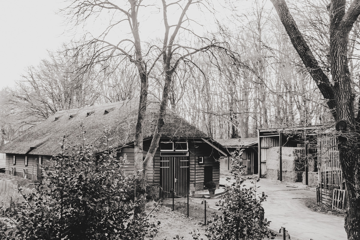 07. Schaapsherder Rozenn Buhrman00017